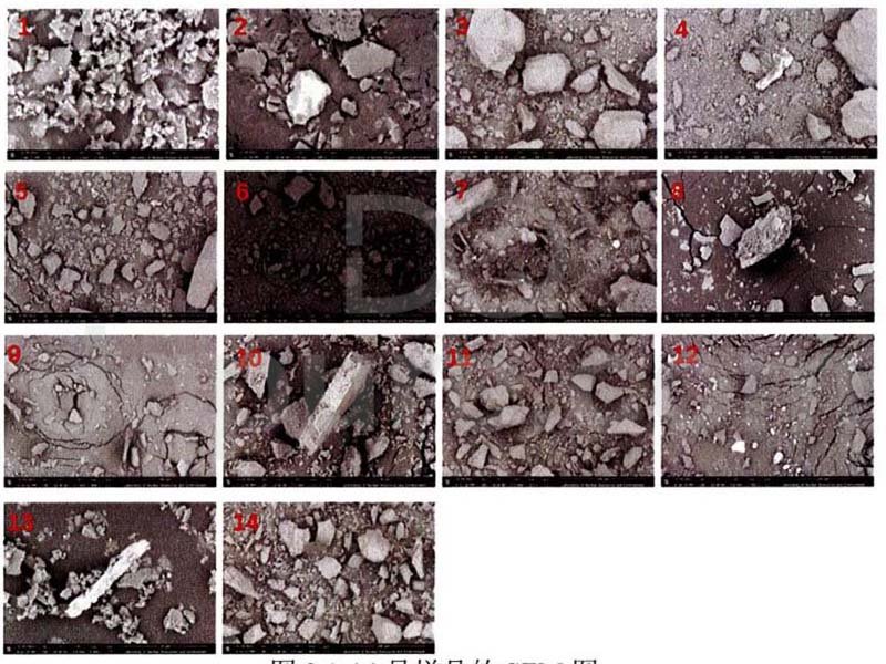 DQPURE Rubidium ore sample SEM Scan