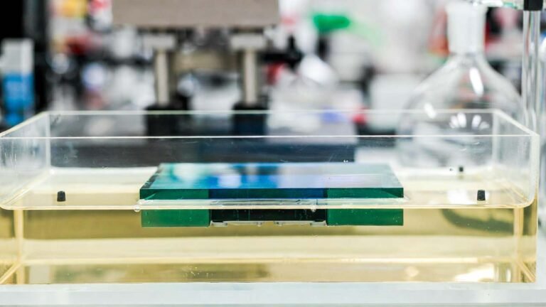 Rubidium Nitrate-Enabled Microwave Hydrothermal Ion Exchange for Ultra-Thin Chemically Strengthened Display Cover Glass